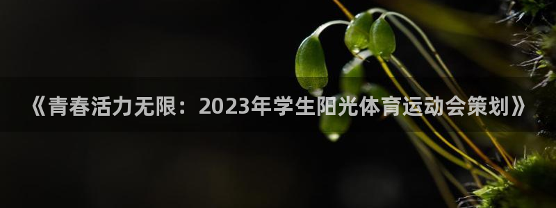bbin视讯下：《青春活力无限：2023年学生阳光体育运动会策划》