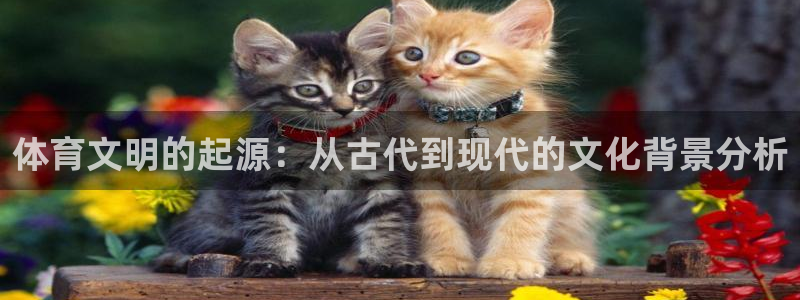 bbin视讯：体育文明的起源：从古代到现代的文化背景分析