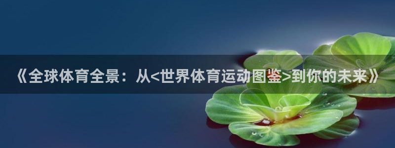 bbin视讯游戏平台：《全球体育全景：从<世界体育运动图鉴>到你的未来》