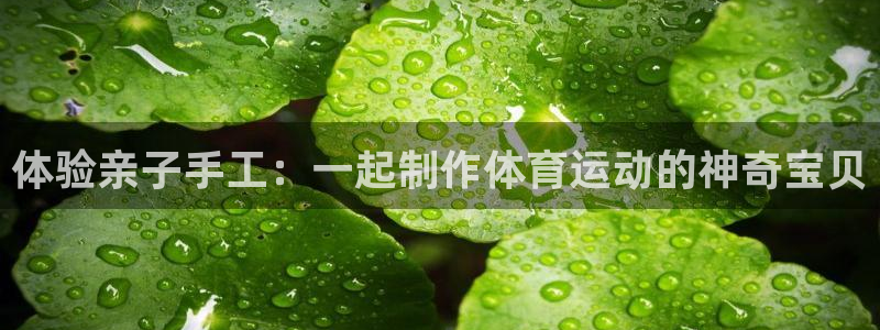 bbin视讯：体验亲子手工：一起制作体育运动的神奇宝贝