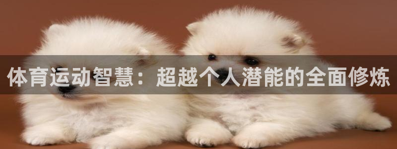 bbin视讯：体育运动智慧：超越个人潜能的全面修炼