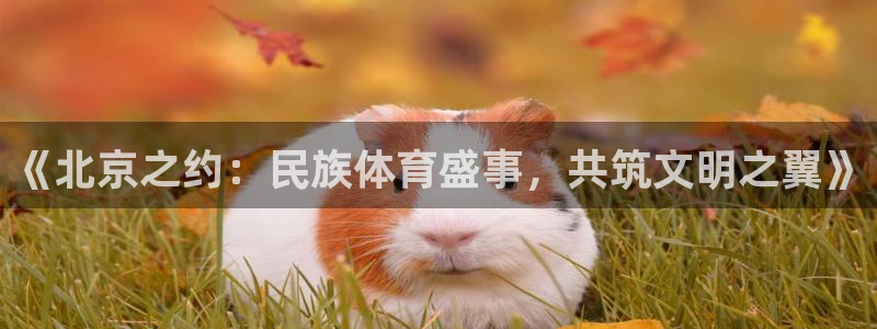 bbin视讯：《北京之约：民族体育盛事，共筑文明之翼》