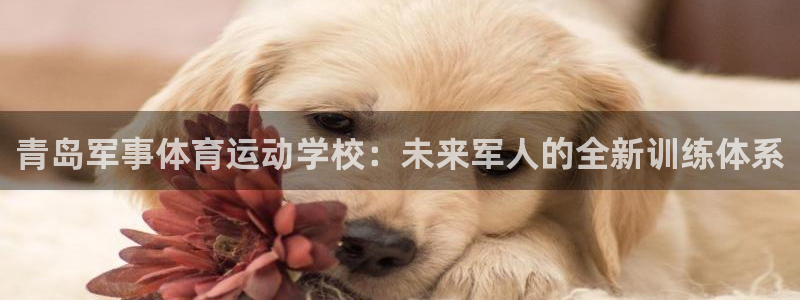 bbin视讯：青岛军事体育运动学校：未来军人的全新训练体系