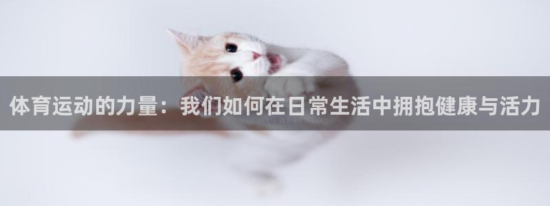 bbin视讯下：体育运动的力量：我们如何在日常生活中拥抱健康与活力