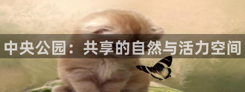bbin视讯游戏官网：中央公园：共享的自然与活力空间