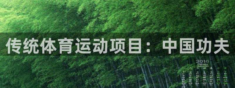 bbin视讯：传统体育运动项目：中国功夫